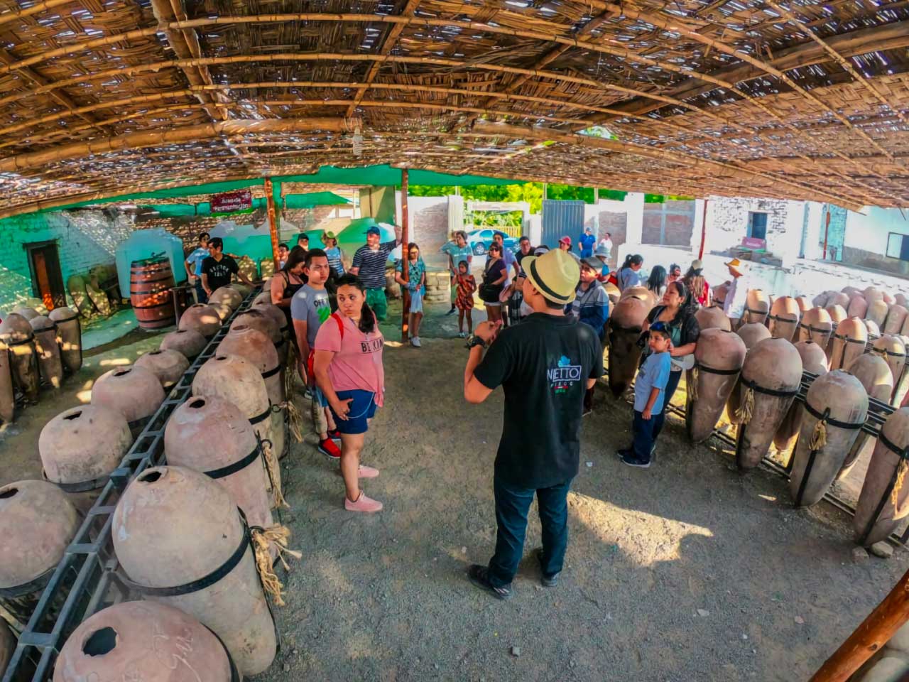 Bodega-vitiviniciola-nieto