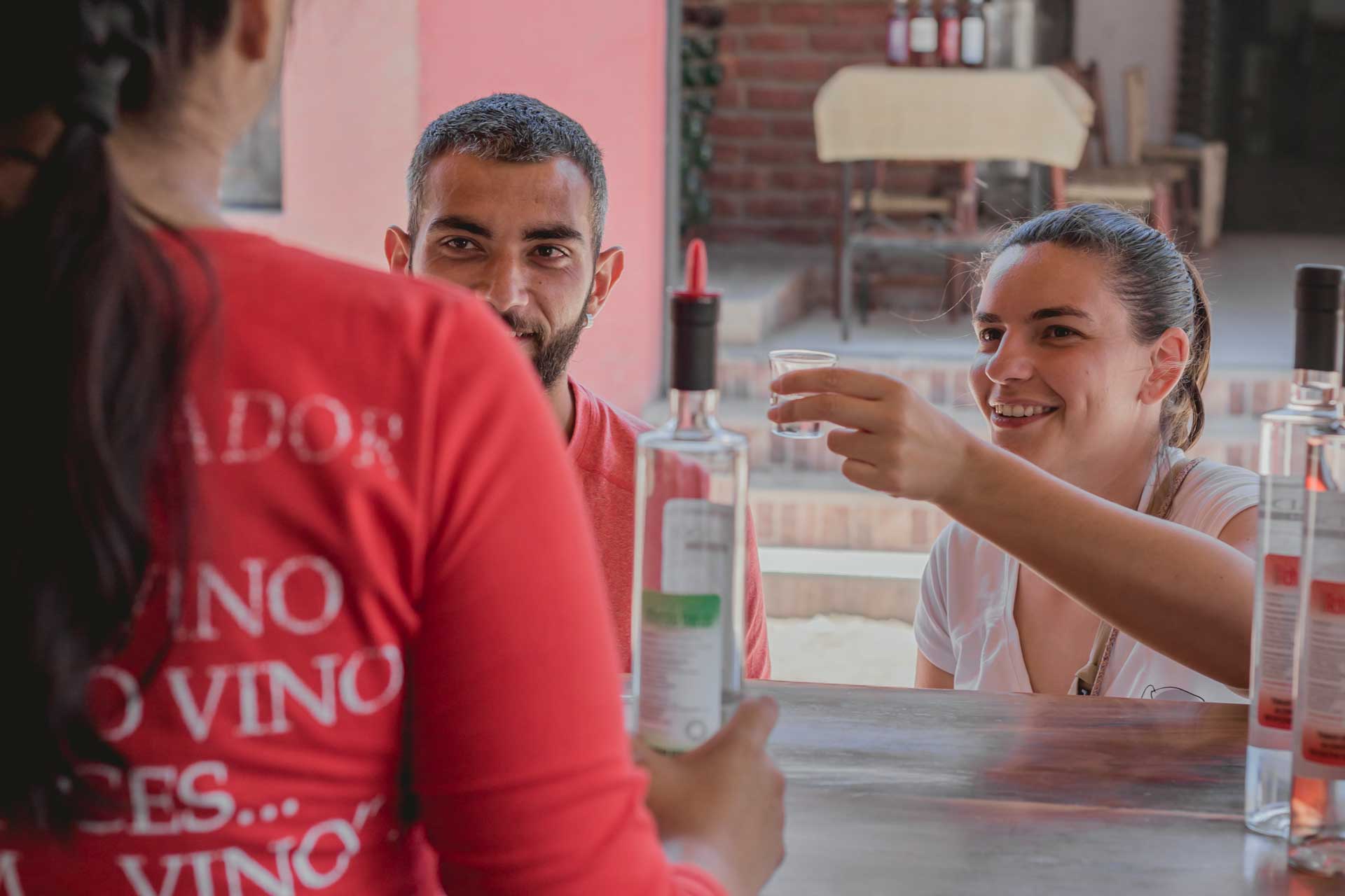 Cata de vinos artesanales