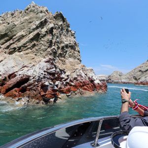 Islas Ballestas y Reserva Nacional de Paracas