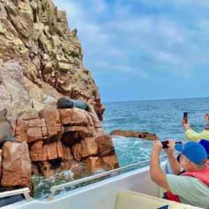 Desde Lima Full day Paracas Ica