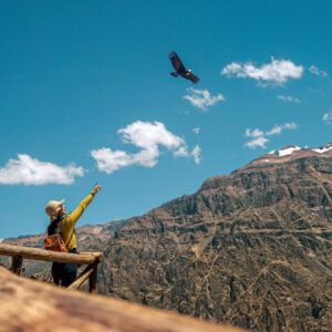Full Day Cañon del Colca