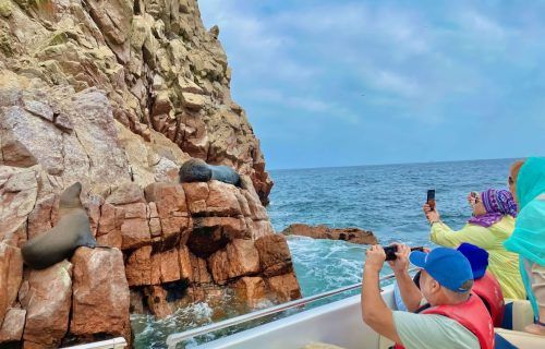 Islas Ballestas y Paracas