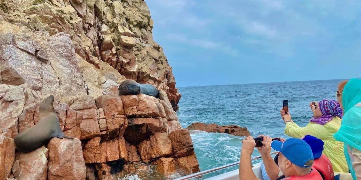Islas Ballestas y Paracas