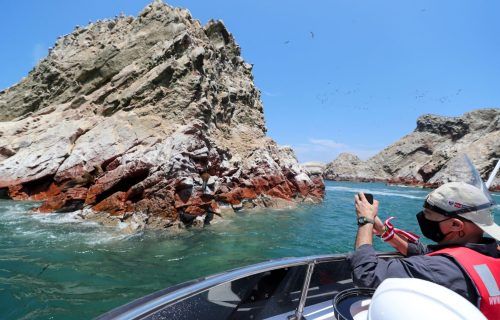Toma a las focas en las islas ballestas