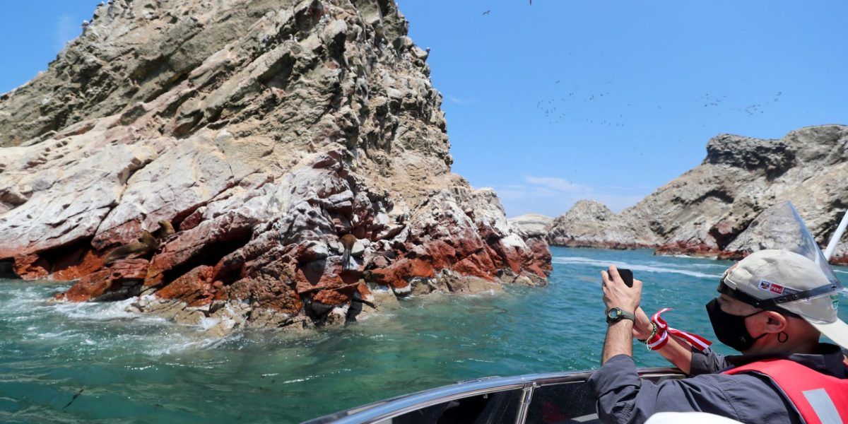 Toma a las focas en las islas ballestas